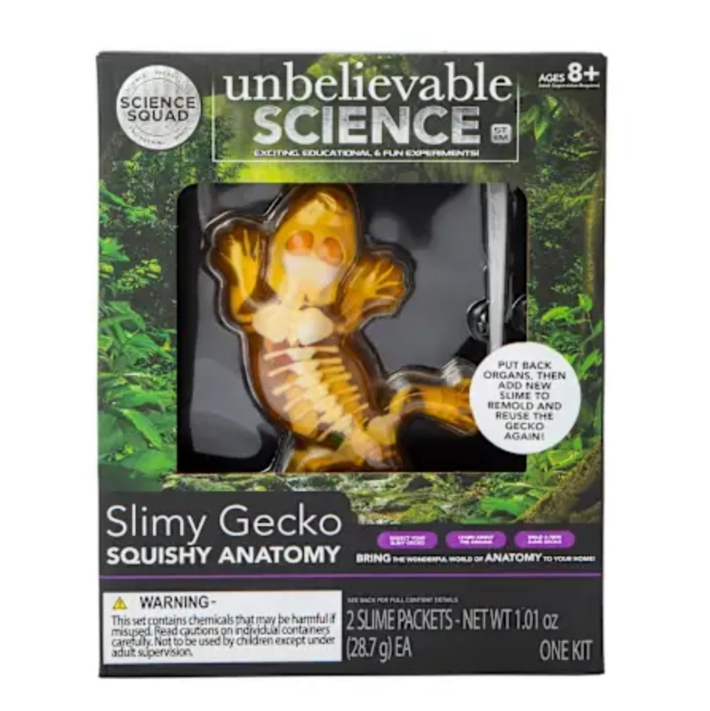 Science Squad | Slimy Gecko Squishy Anatomy Kit